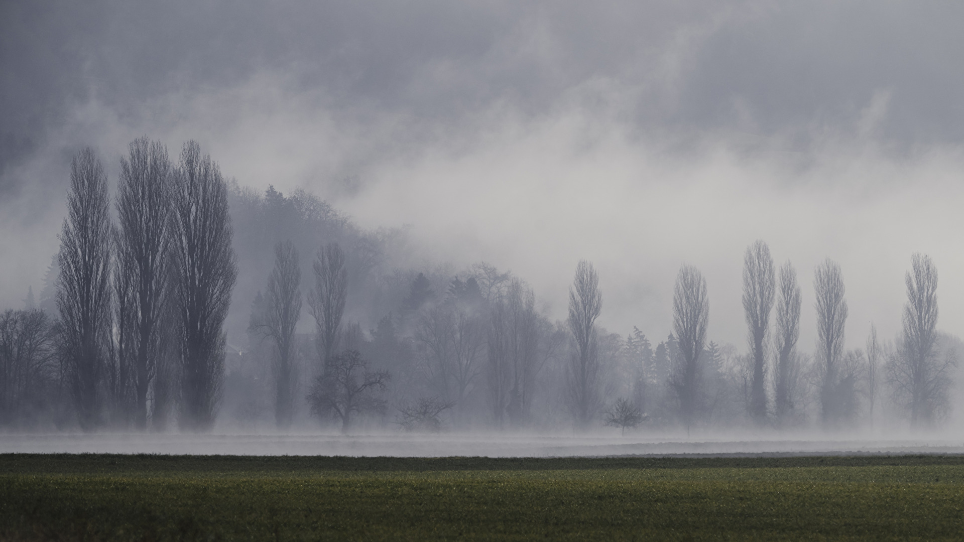 #Nebel