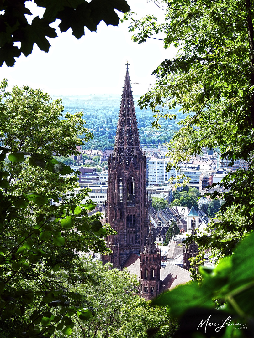 Freiburger Münster