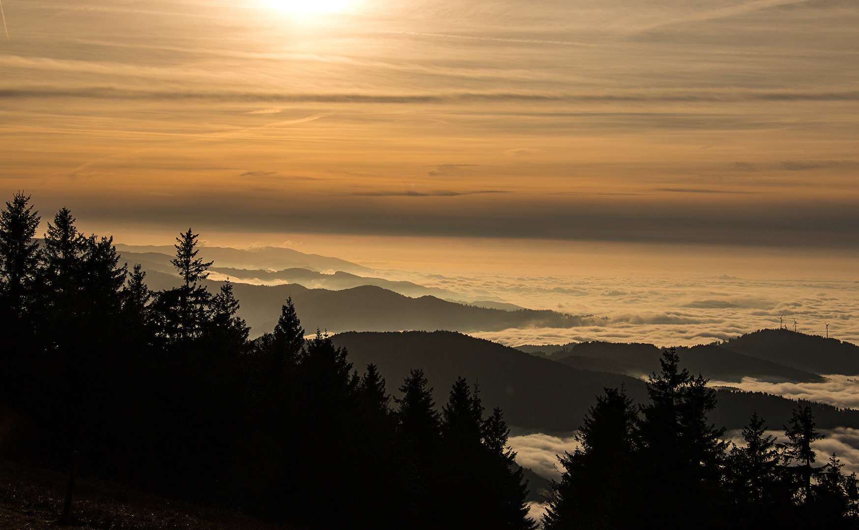 Blick vom Kandel auf Freiburg