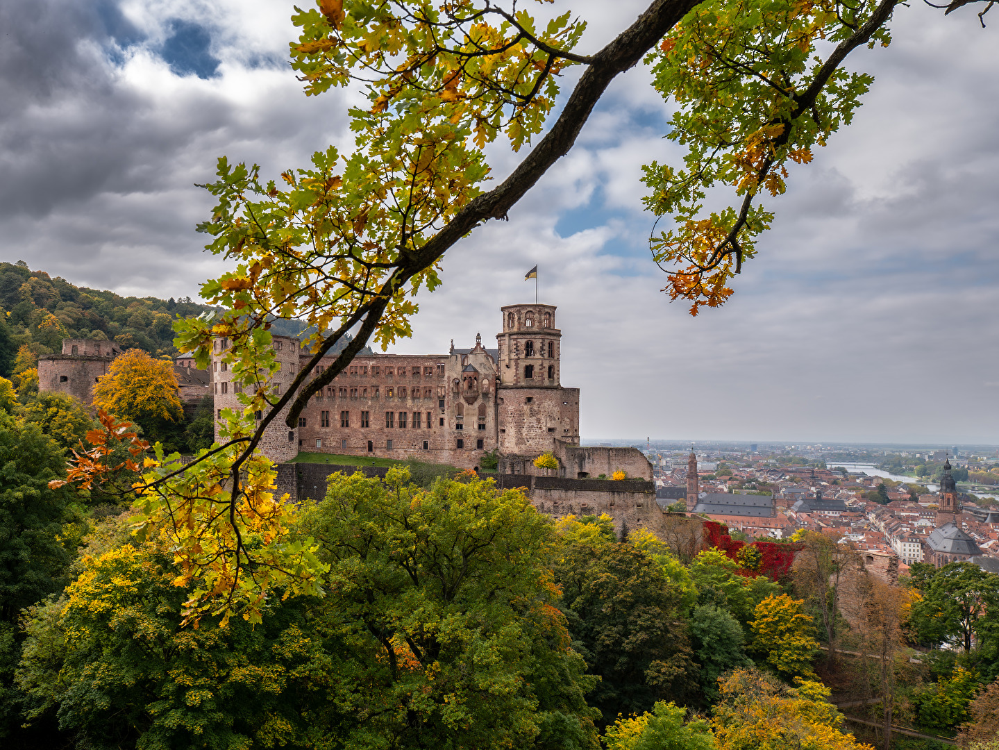 #Blattwerk mit Heidelberg