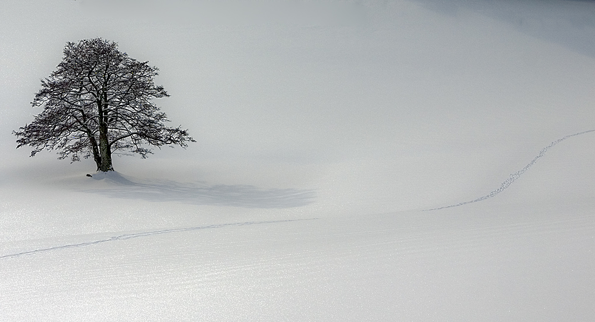 Sankt Märgen im Schwarzwald