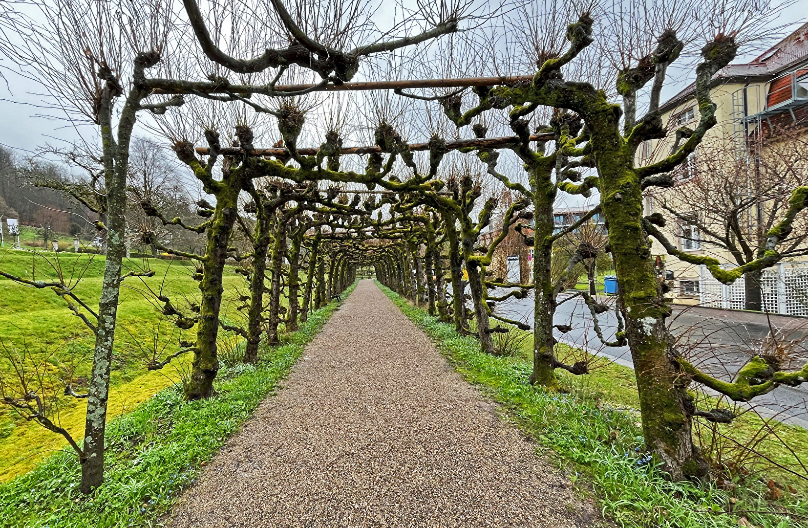 Wiederholung    Brückenau 2