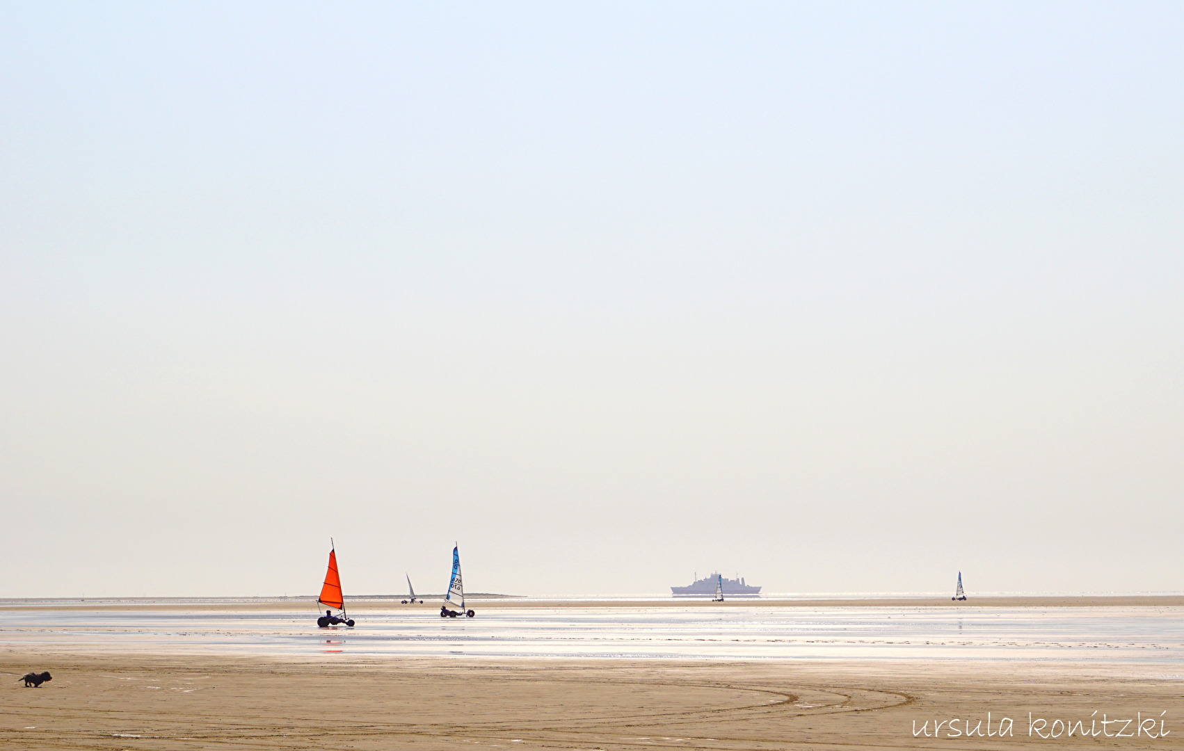 Strandsegeln auf der dänischen Insel Römö.