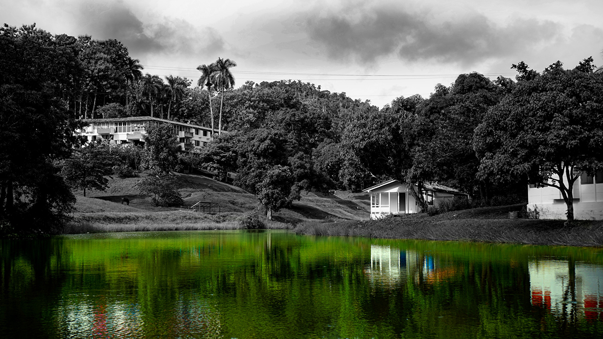 Las Terrazas - Cuba