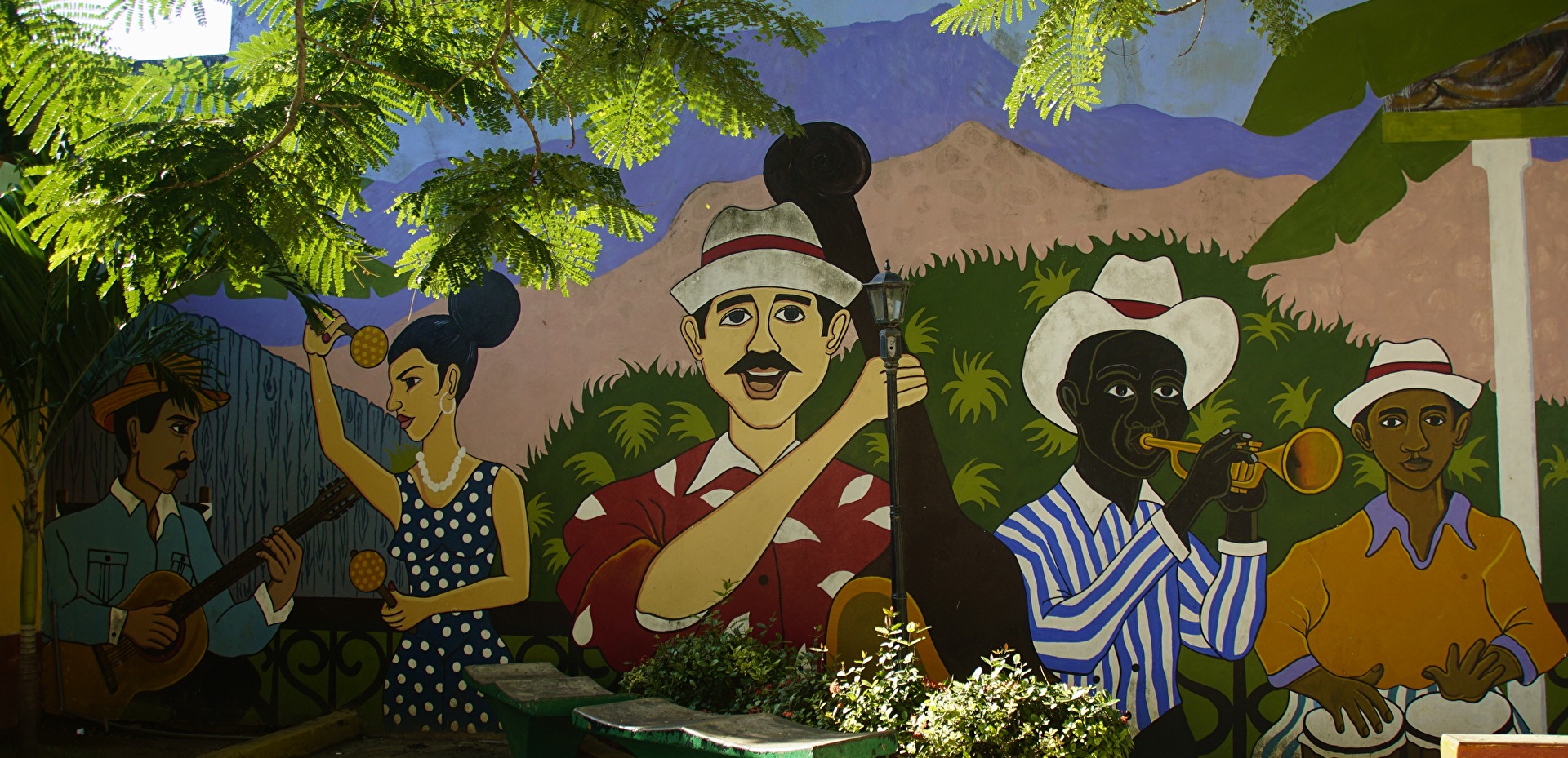 Musik - Cuba es musica!