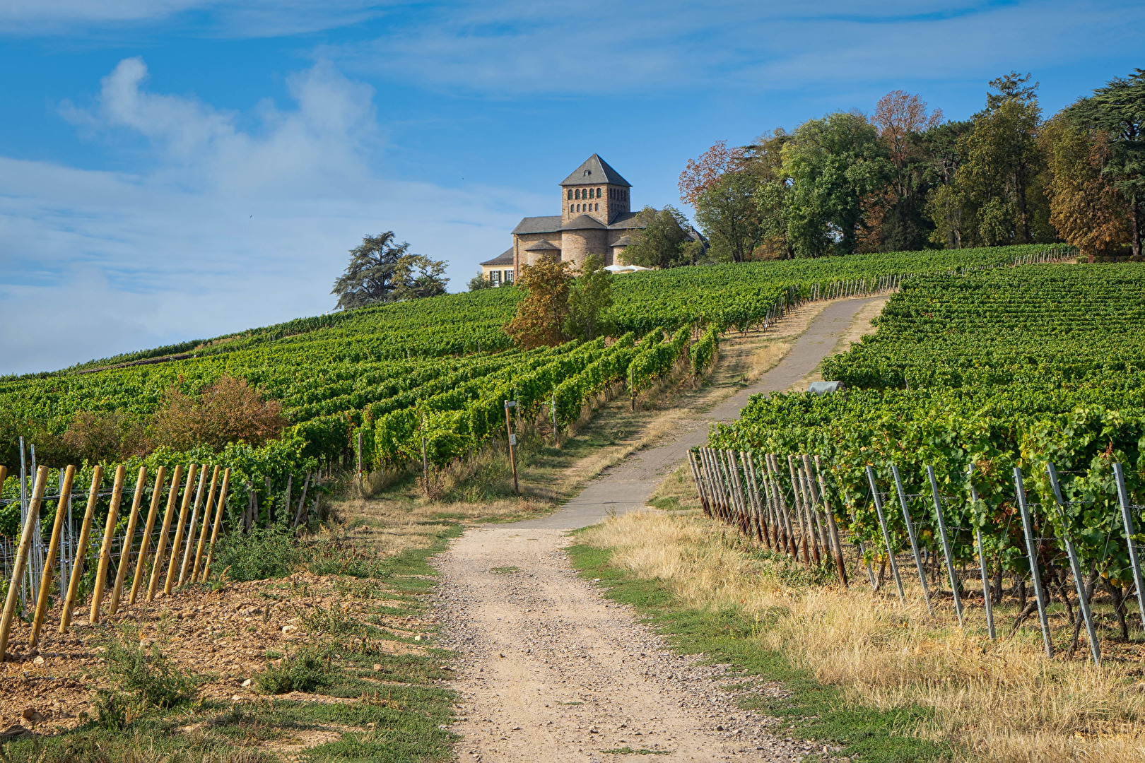 Burg Johannisberg