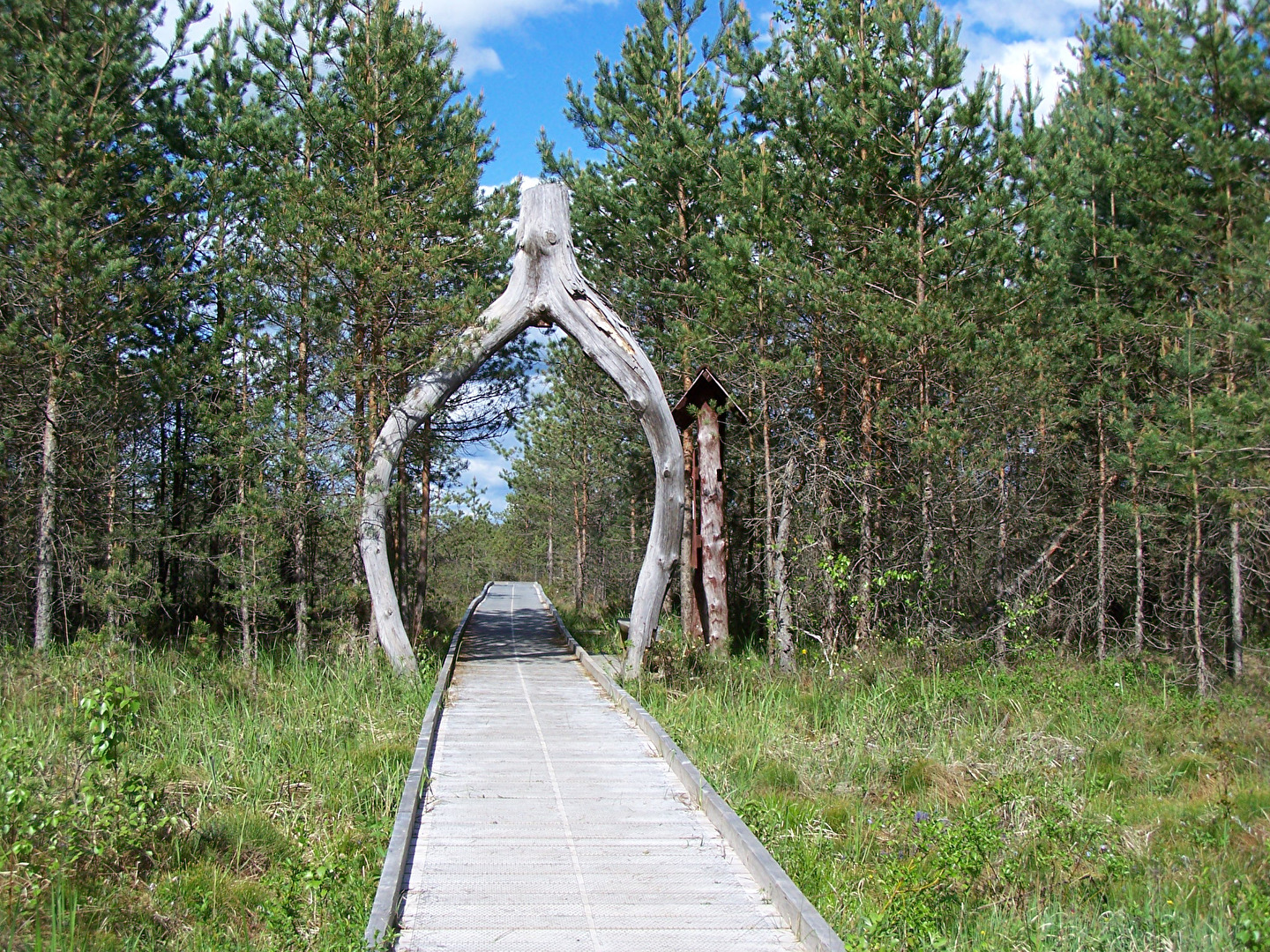 Eingang zum Nationalpark Soomaa