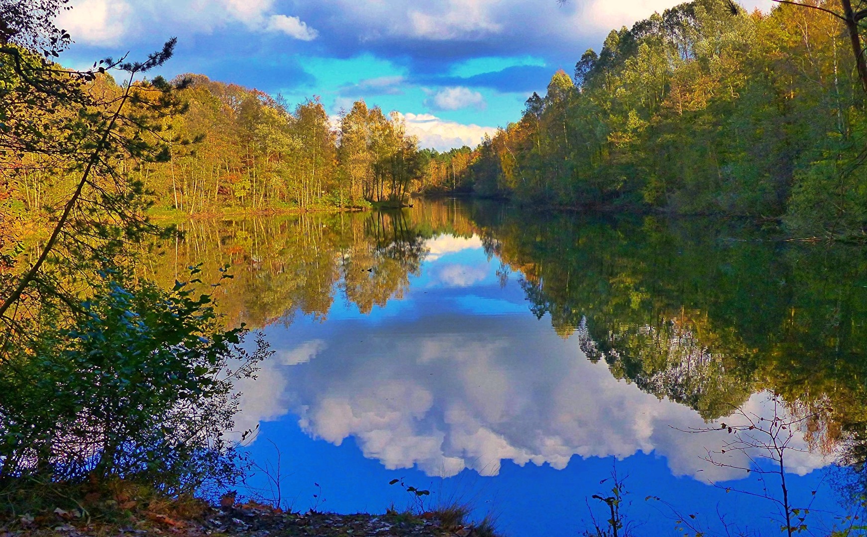 Wolken ,Wald