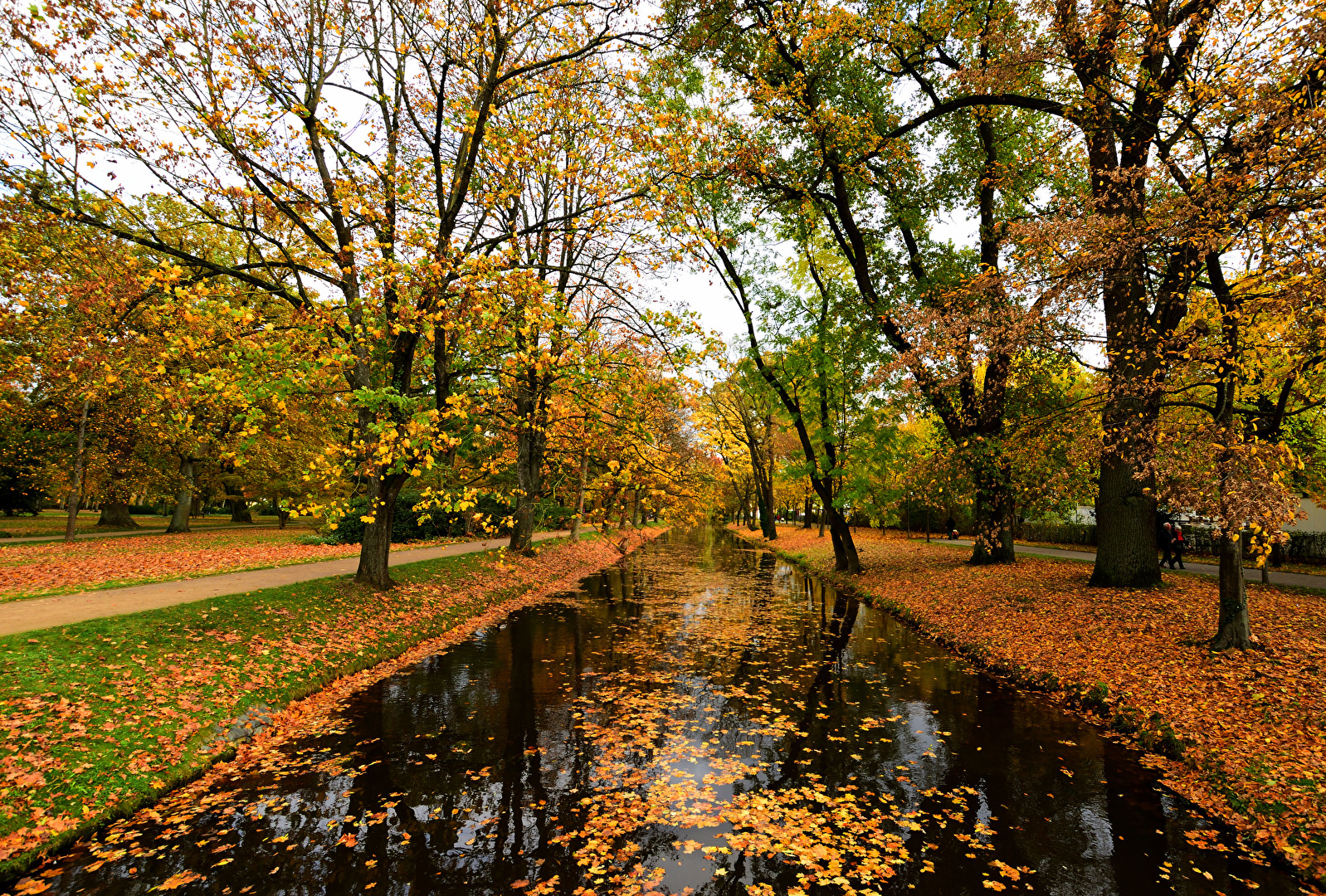 Celle Französischer Garten im November