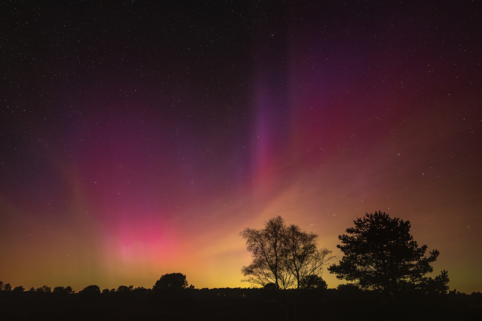 Polarlichter über der Lüneburger Heide