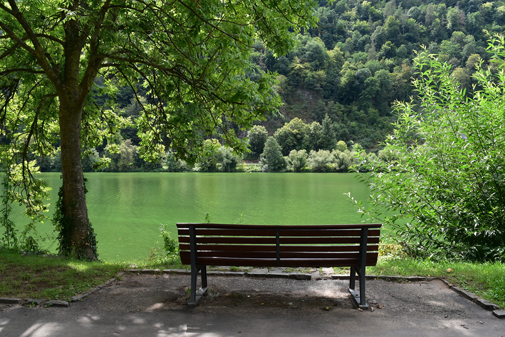 TT Grün ist die Mosel