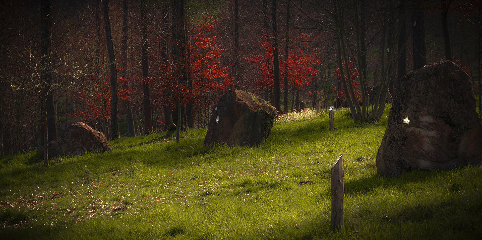 Naturbegräbnisstätte Trifels