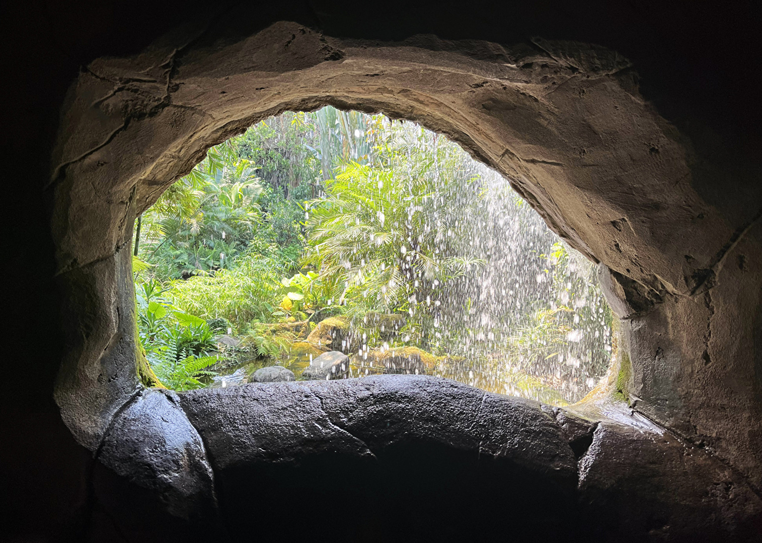 Gondwanaland | Zoo Leipzig