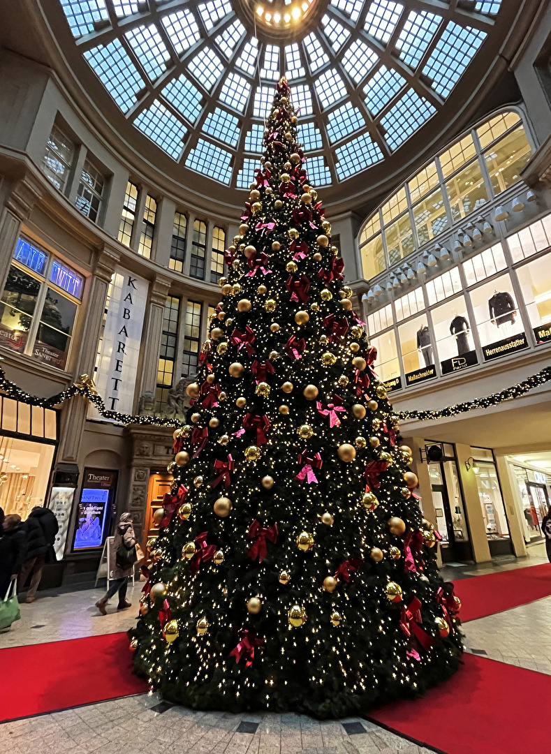 sorry, aber nun gerade gerückt...