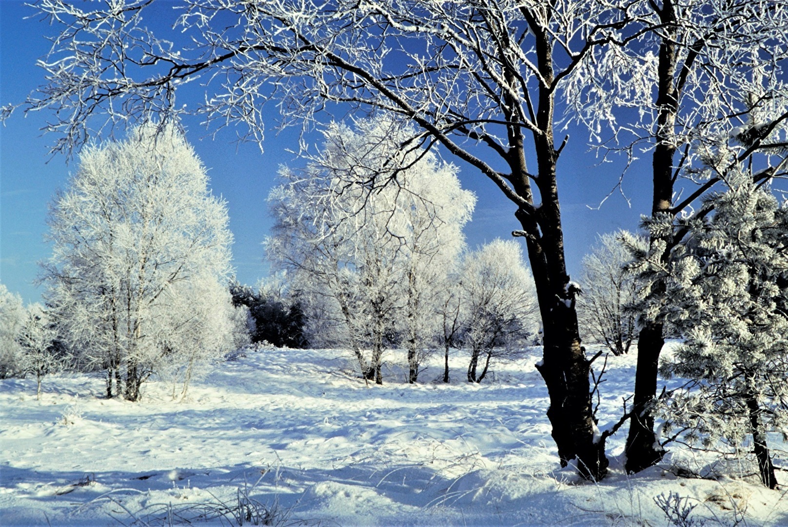 " Eifel - Winter "