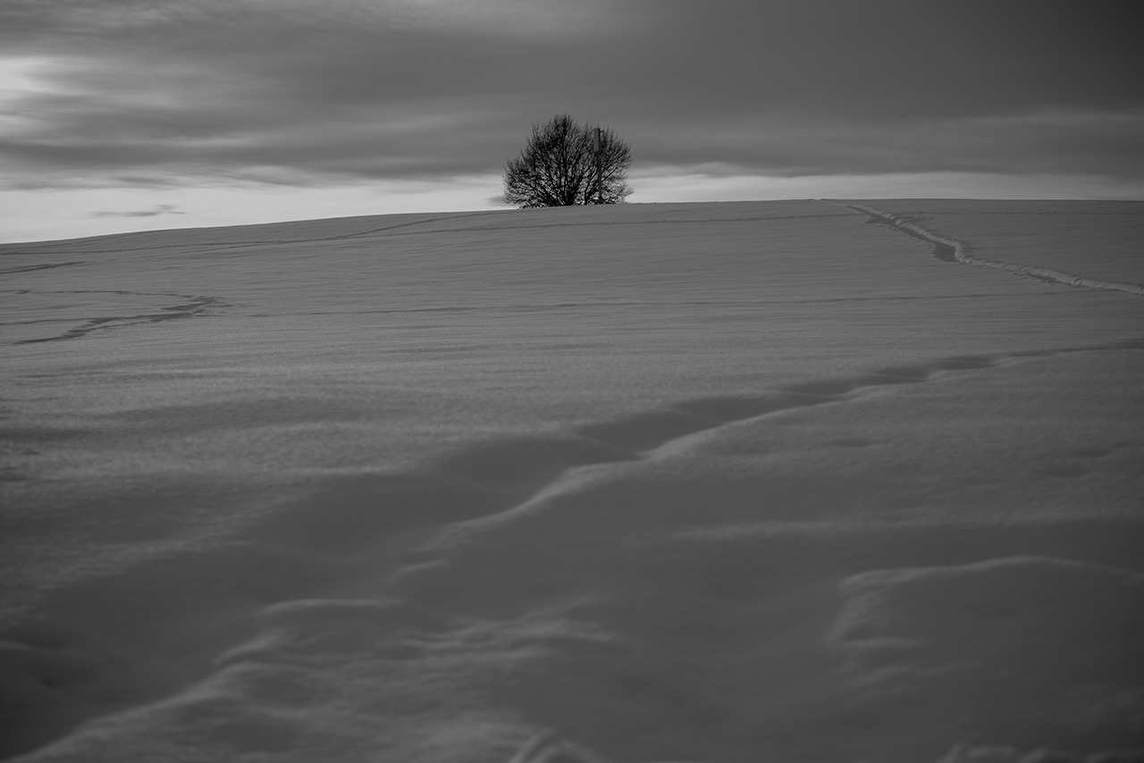Winterlandschaft