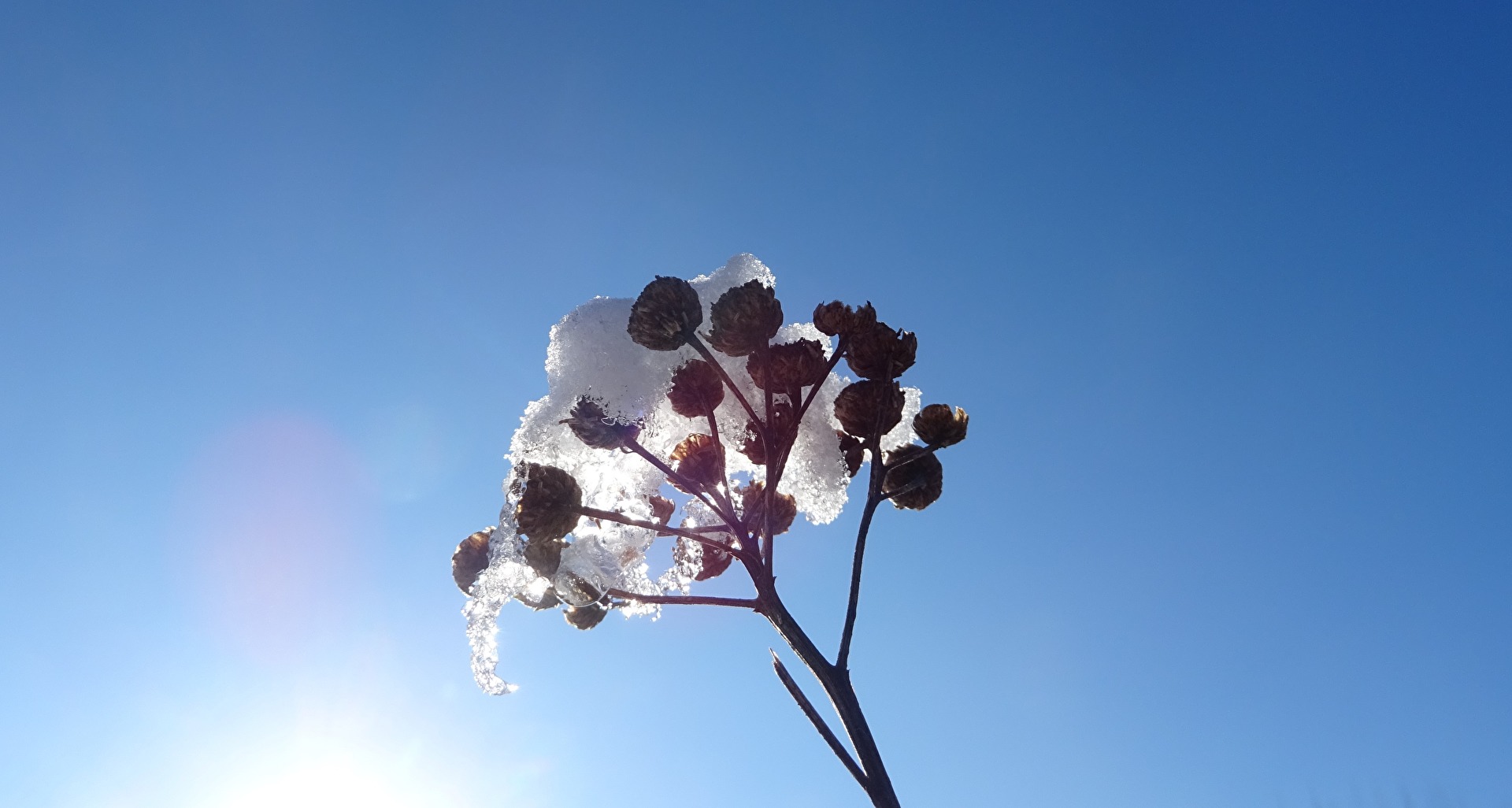 Winter im hohen Norden