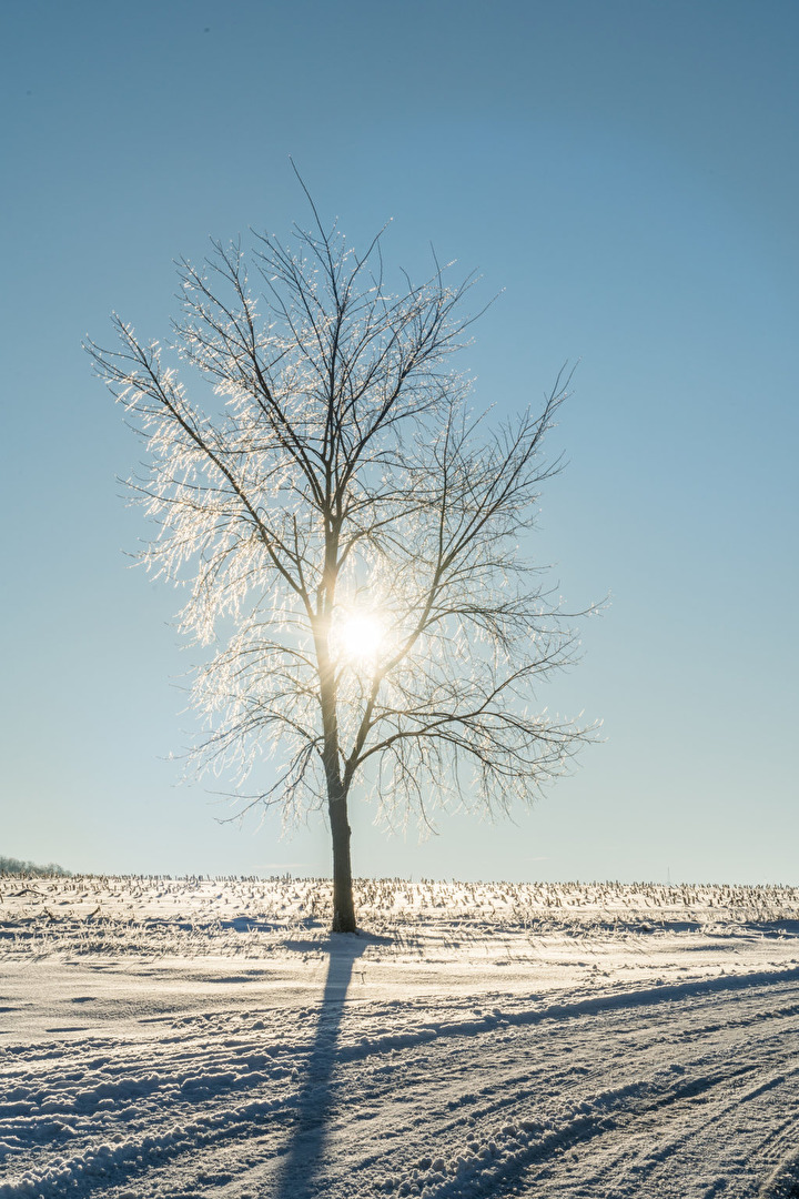 Winter