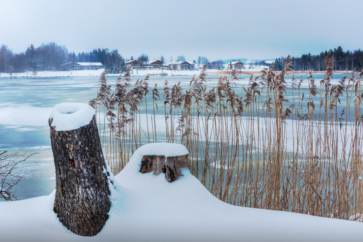 Winter am See