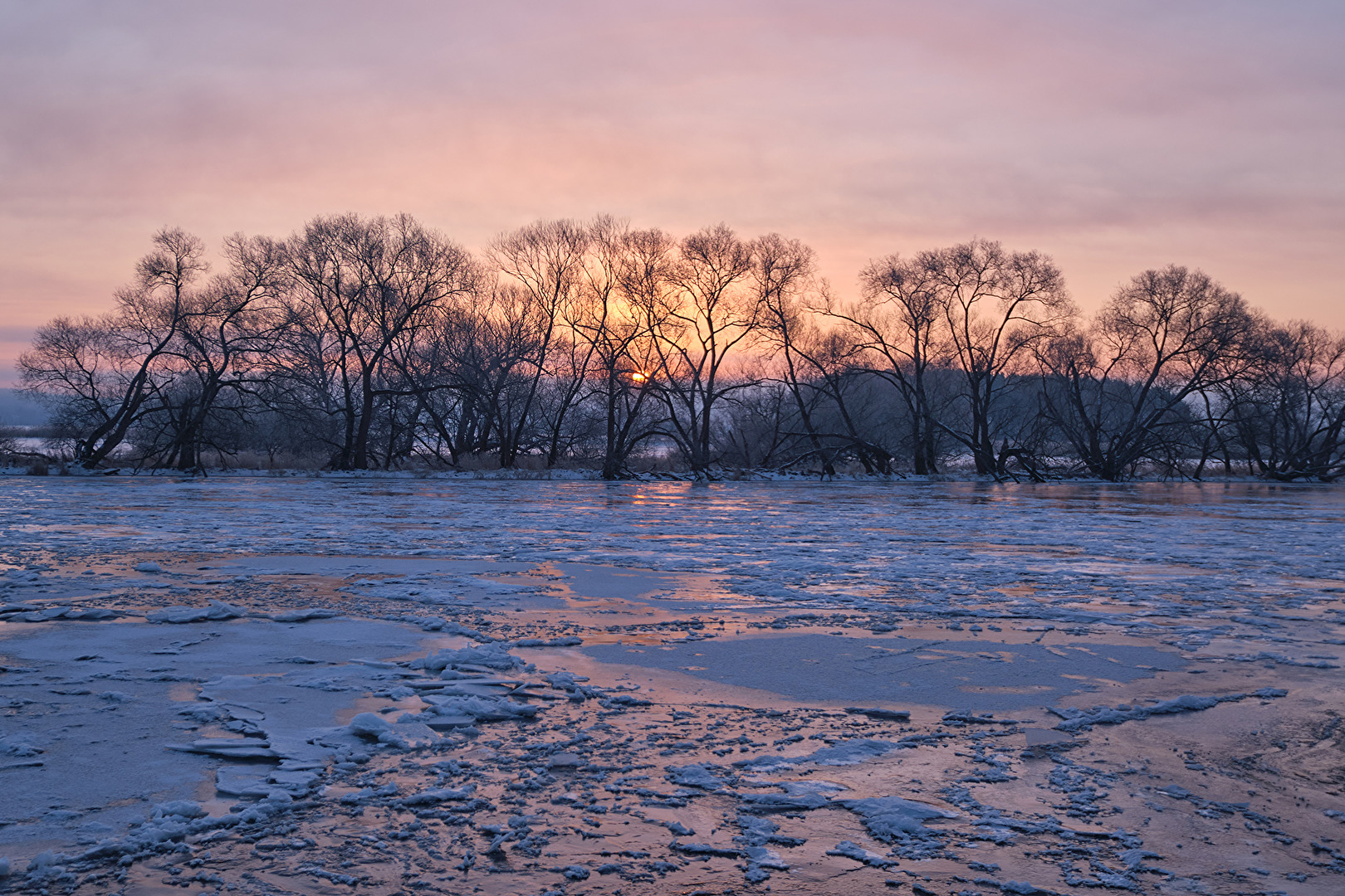 Morgens an der Havel