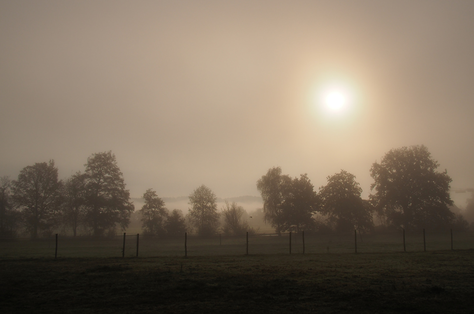 Morgennebel