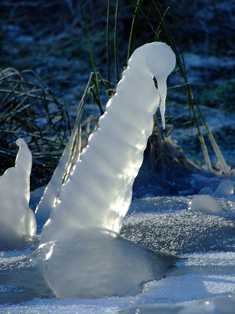Abstrakte Kunst von Mutter Natur