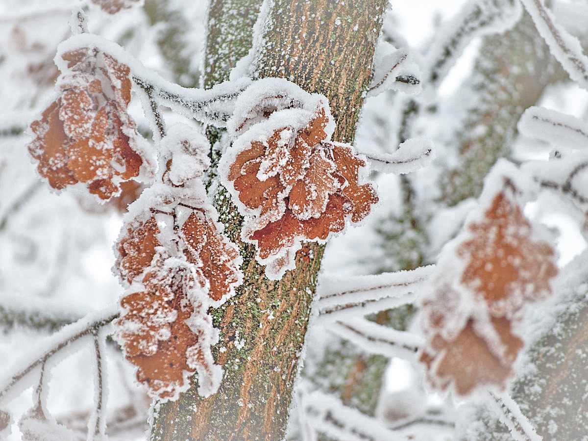 Wintereinbruch...