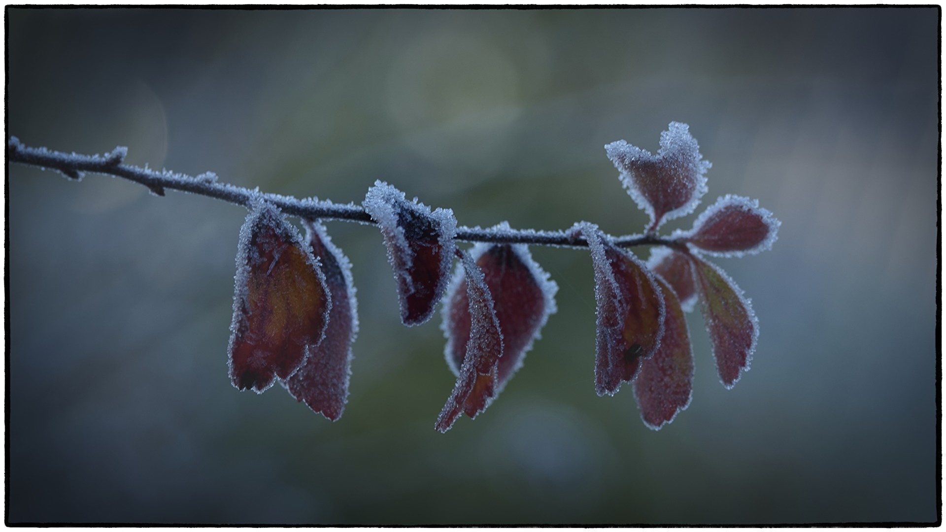 Winterkleid