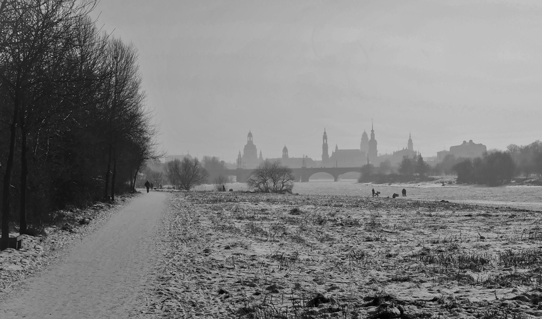 Winter in Dresden