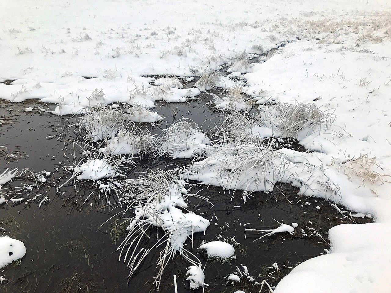 Ein Rinnsal staut sich...