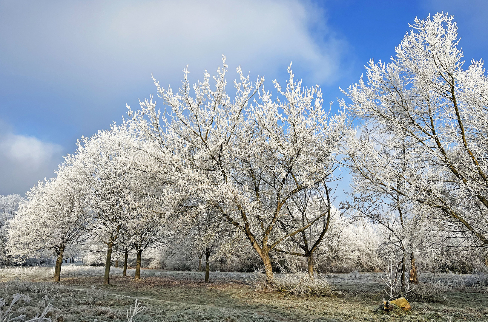 feuchte Luft und eisiger Frost...3