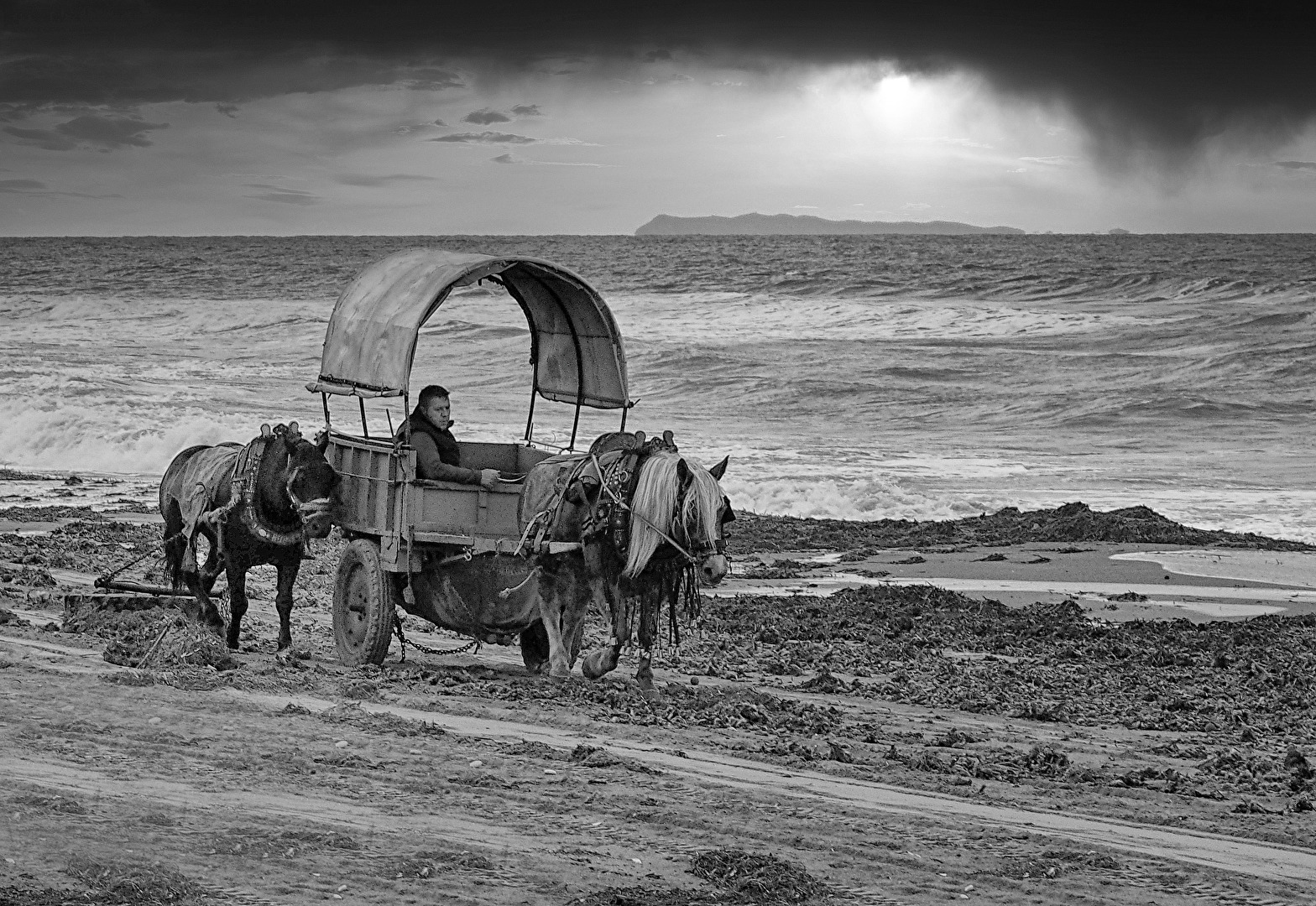 Winter am Meer