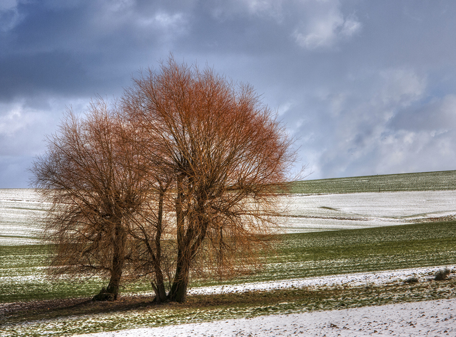 Ist der Winter schon Vorbei?