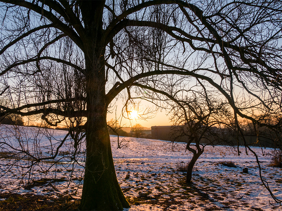 #Winterabend