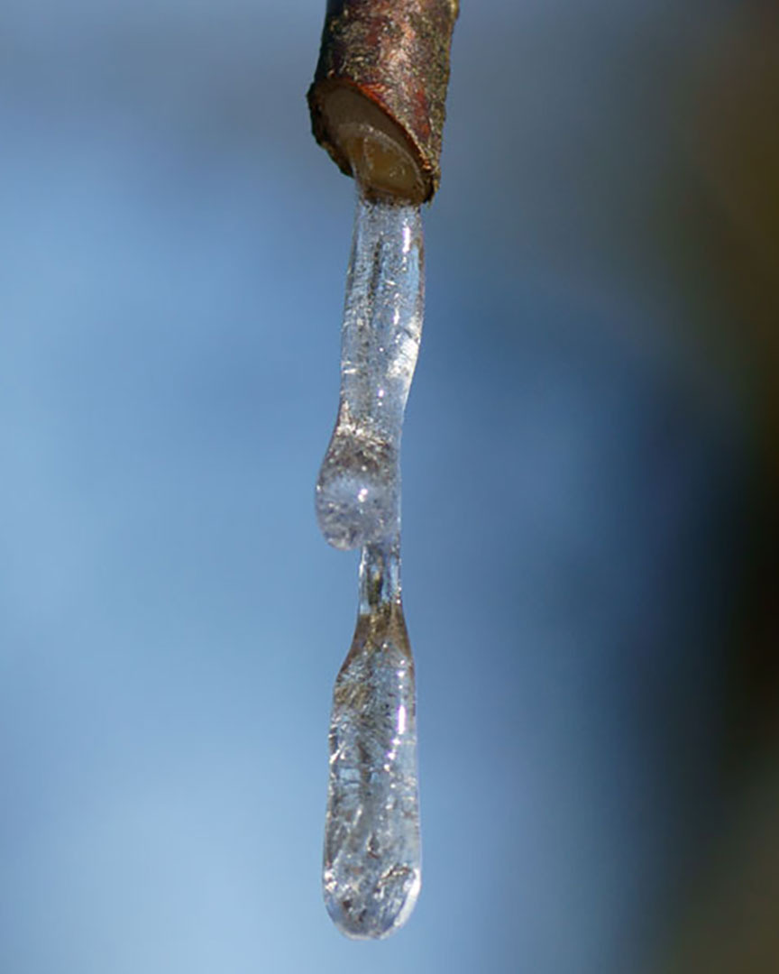 #Eiszapfen