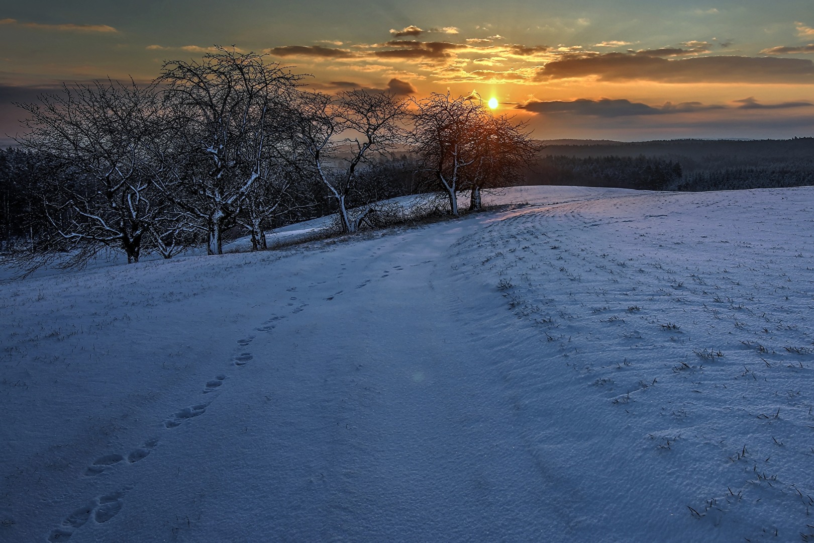 Der erste Schnee