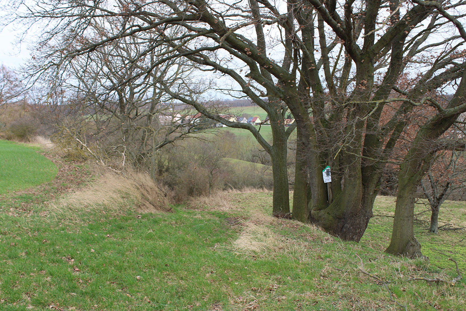 Winter  2024 im NSG (1)