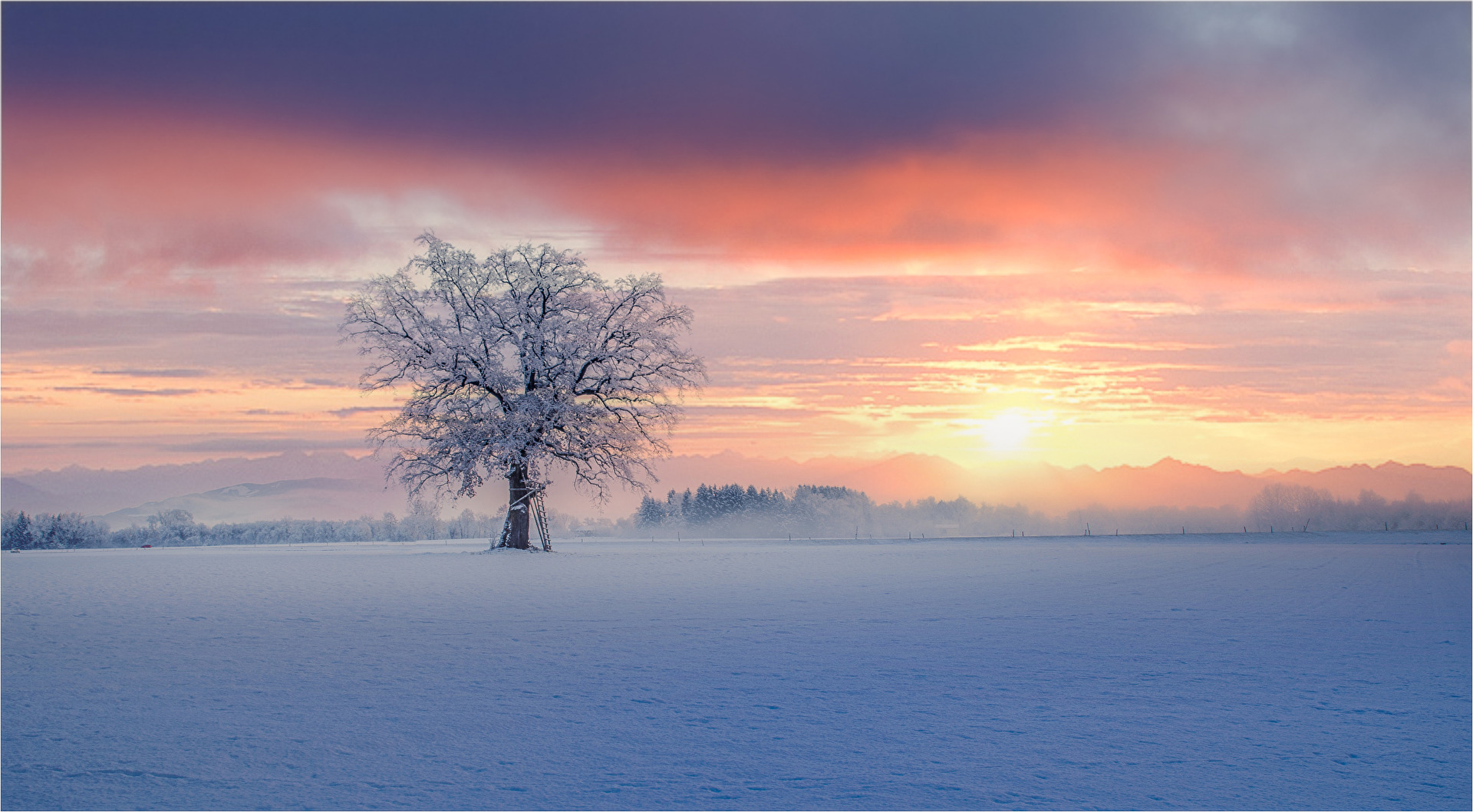 Wintermorgen