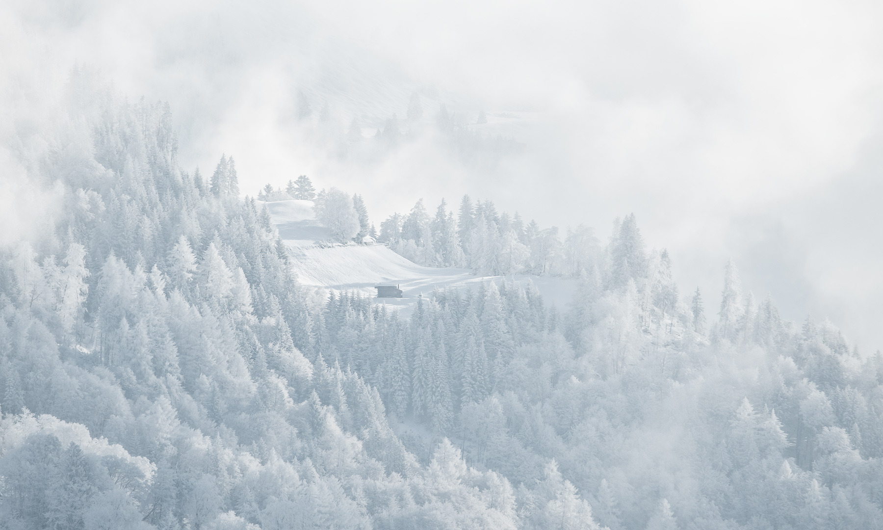 #Weisse Winterwelt