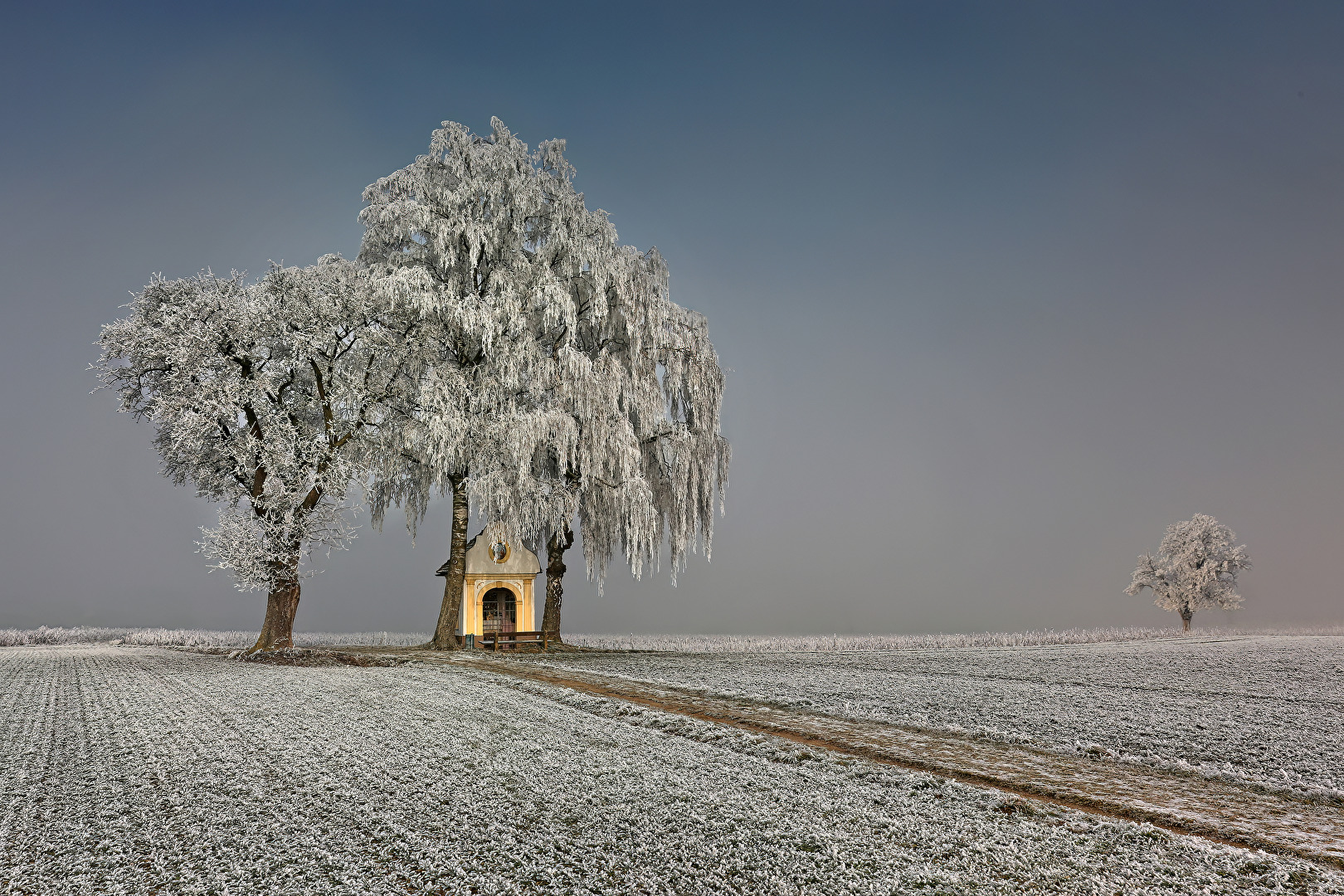 Wintertraum