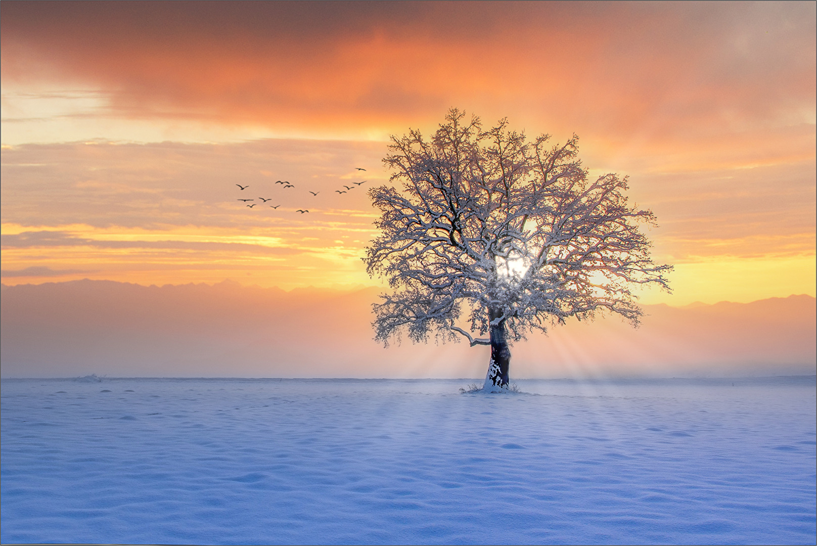Wintermorgen