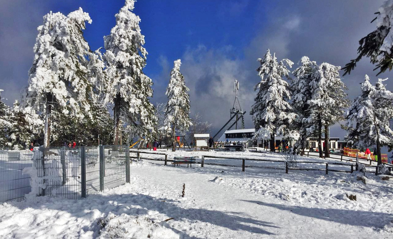 Schnee im Harz