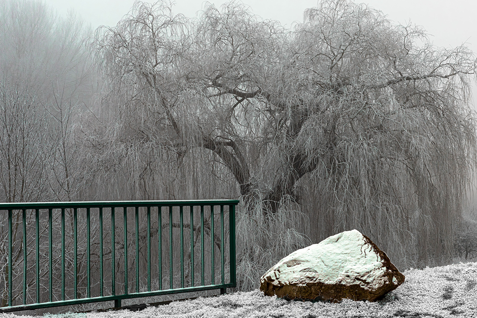 Nebelgeflüster . . . .