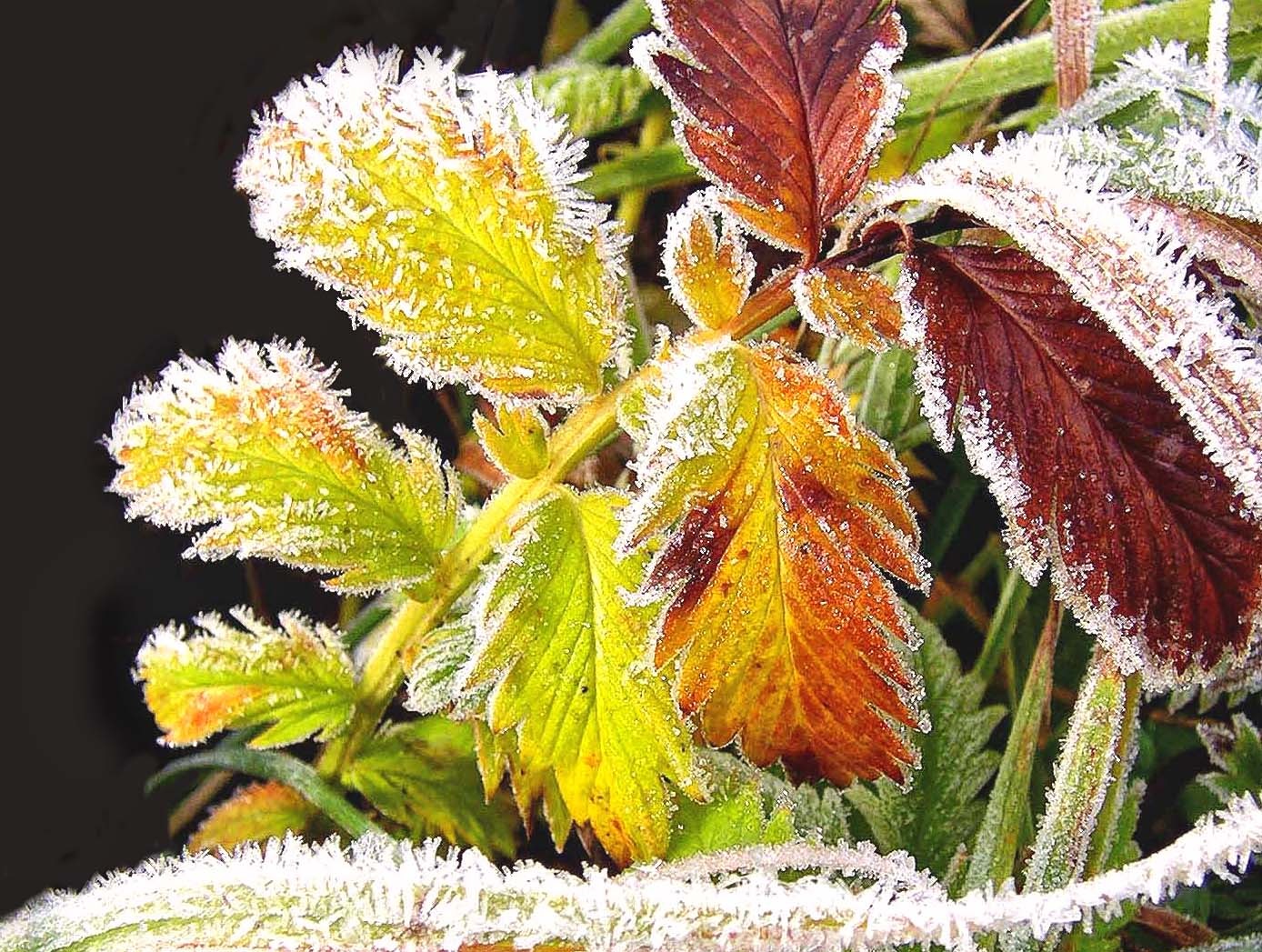 Winterfarben
