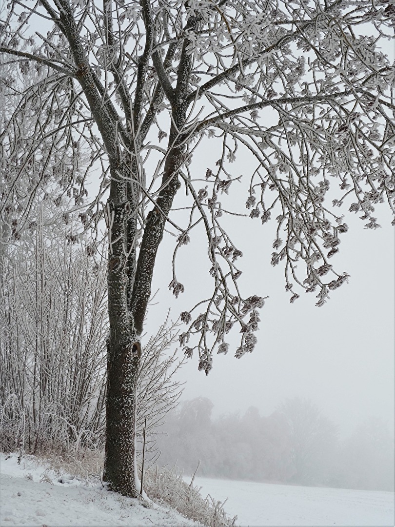 Winter - und alles schläft - also psst ;-)