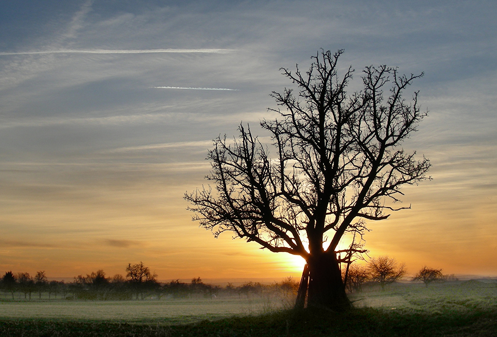 Wintersonne