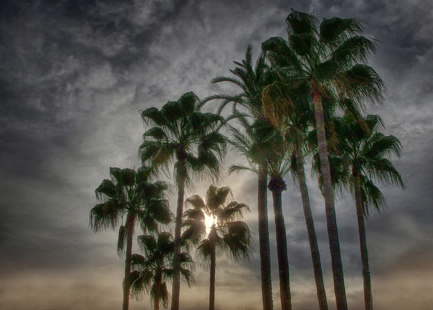 Südliche Wintersinfonie