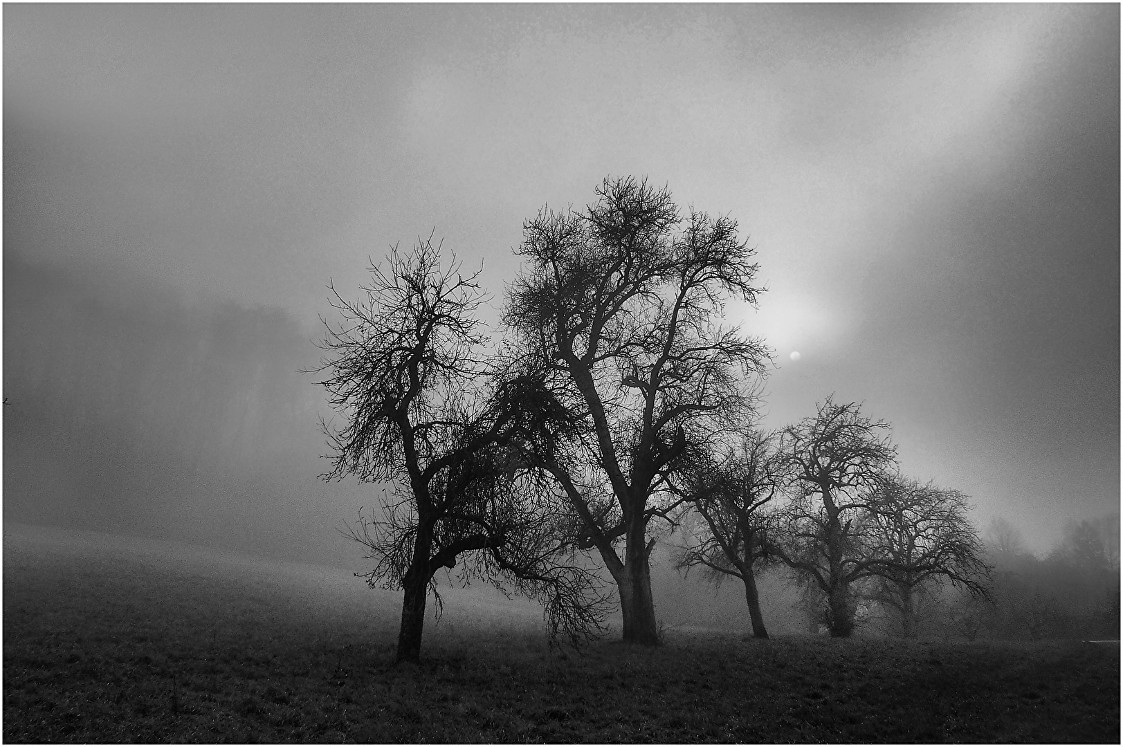 Einer jener grauen Tage