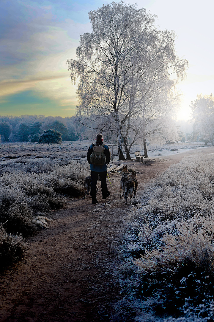 Winterwonderland, mit Mensch und Hund
