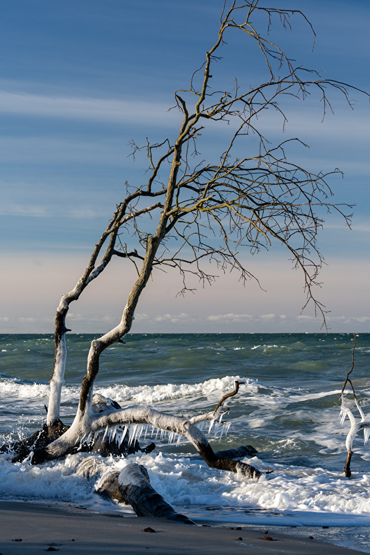 Winterostsee 6